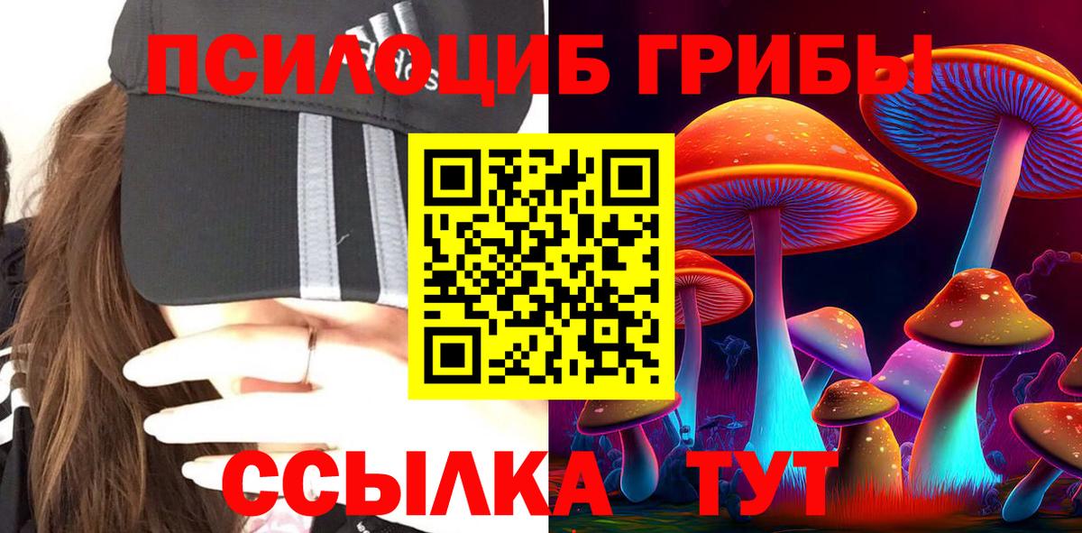 Галлюциногенные грибы GOLDEN TEACHER Прокопьевск