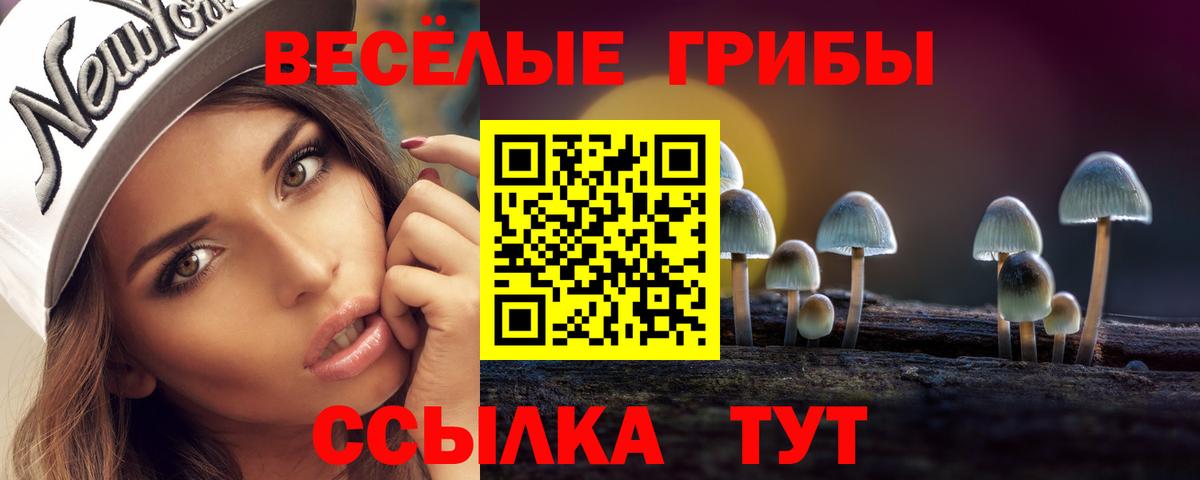 наркота  Вход с VPN  Прокопьевск  Псилоцибиновые грибы мухоморы 